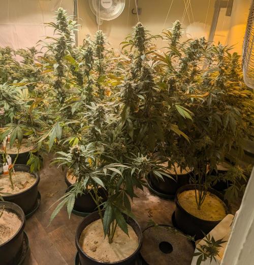 Super Boof. Week 22