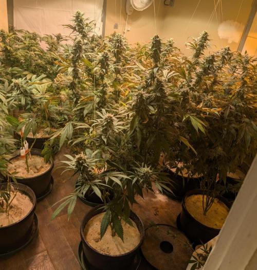 Super Boof. Week 22