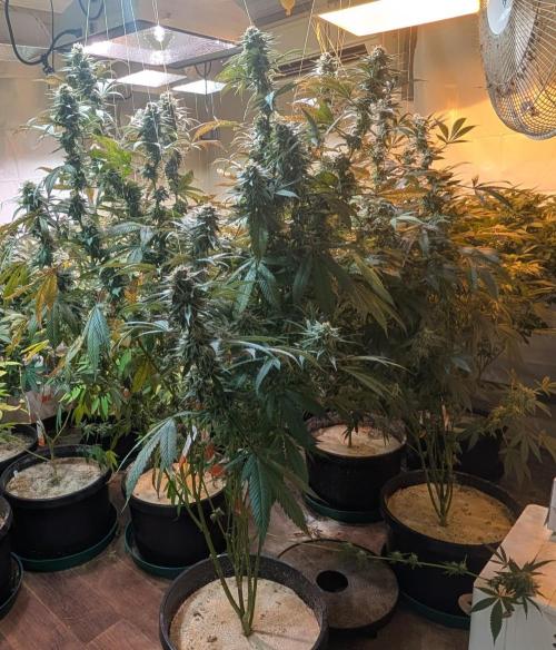 Super Boof. Week 23