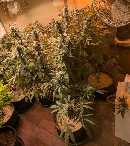 Super Boof. Week 23