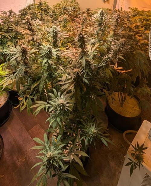 Super Boof. Week 23