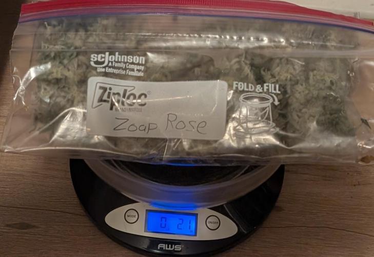 Zoap Rosé. Week 25