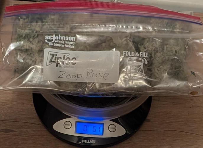 Zoap Rosé. Week 25