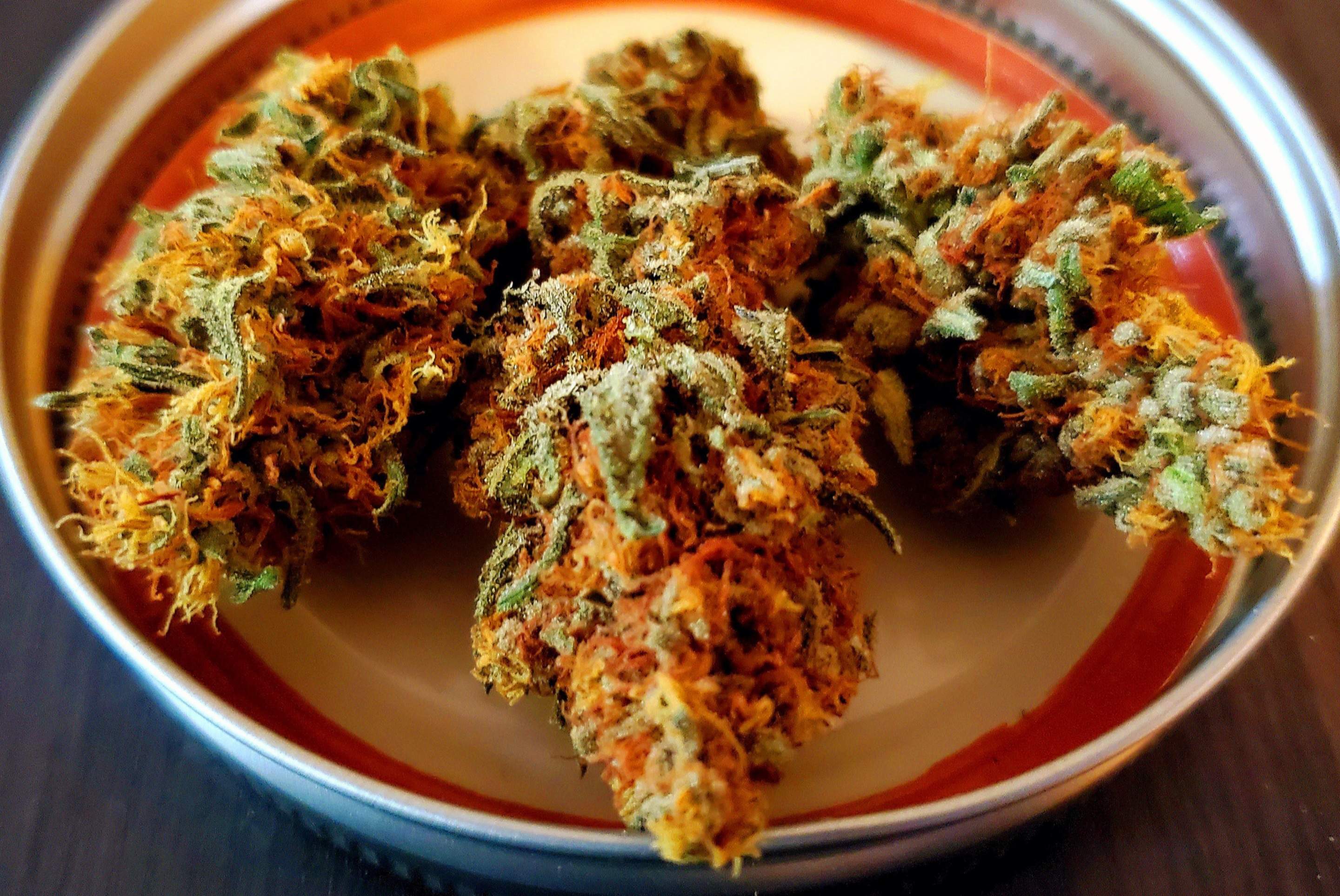 Nirvana Northern Light, Nirvana Blue Dream, Nirvana Raspberry Cough grow  diary (journal) harvest15.3 by Cover2 - GrowDiaries