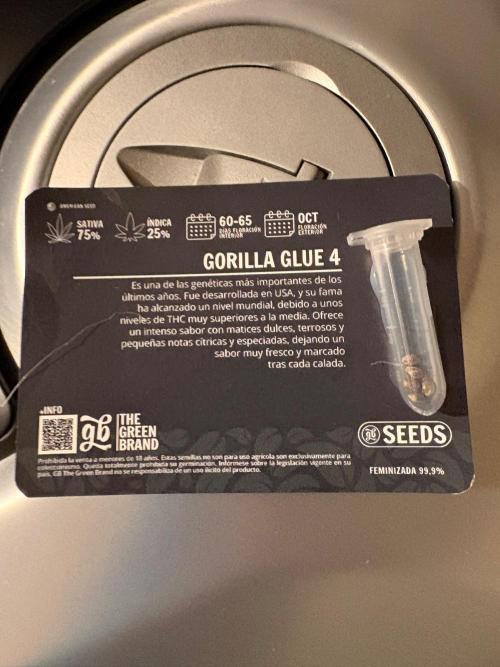 Gorilla Glue 4. Week 0