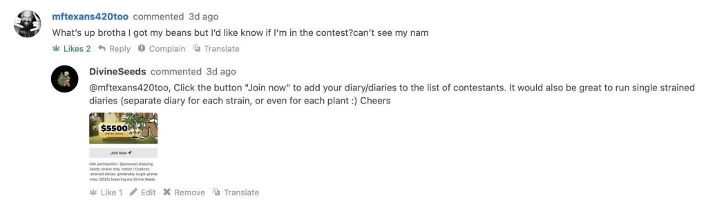 Comment by DivineSeeds photo #1