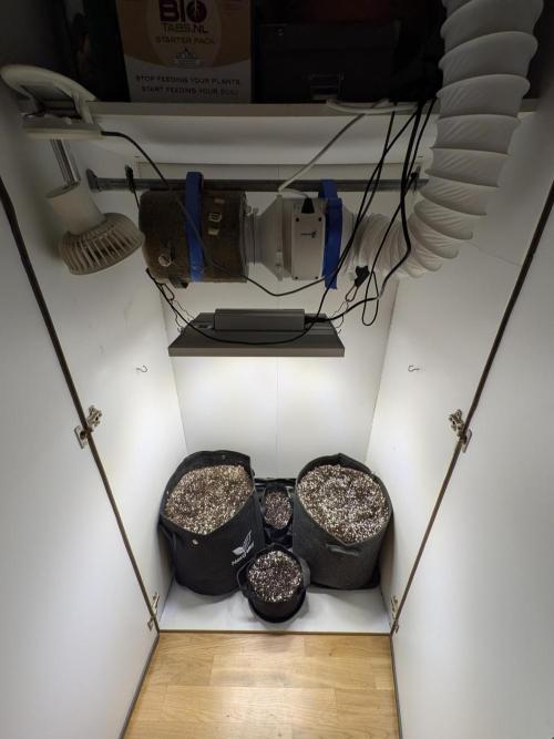 4x Toof Decay Closet Grow // XS 1500 Pro. Week 0 - Squeezed the fourth pot inbetween cause I'm a young ho
