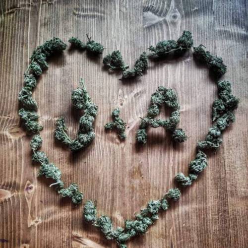 Green poison FV from dummies. Week 11