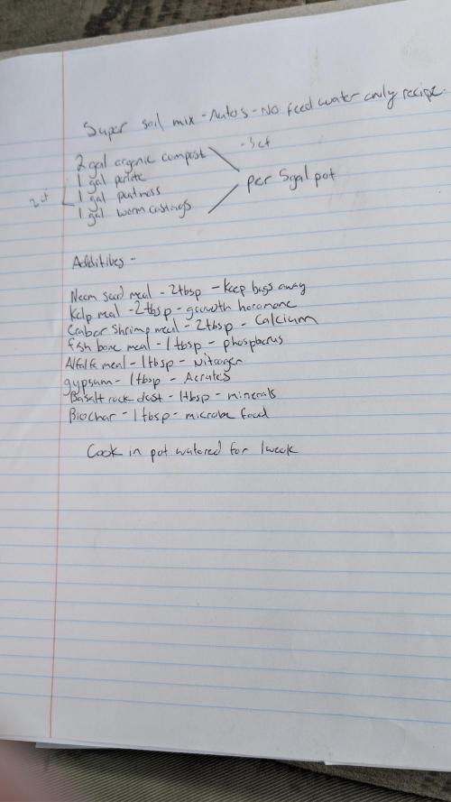 RQS - Autoflower grow - Super Soil. Week 4