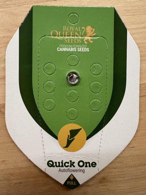 👑RQS 👑- Quick One - auto. Week 0