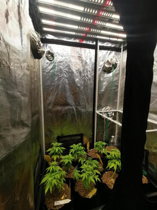 Moon Rock auto / 90x60x140 / FC-E4800. Week 5