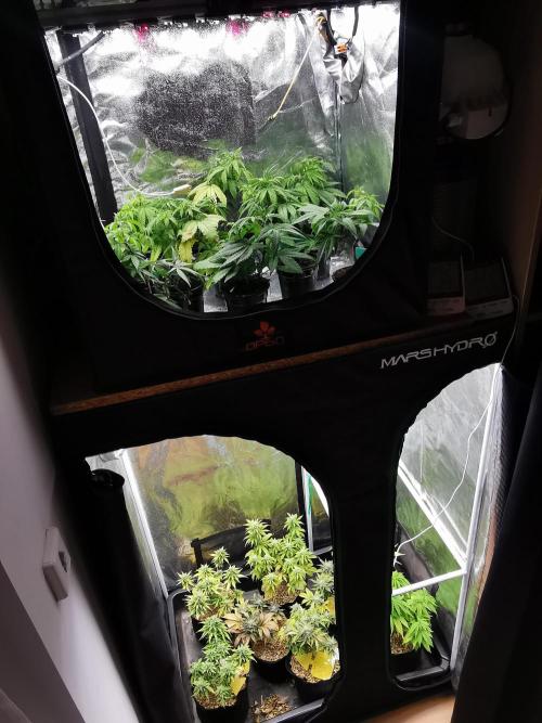 Moon Rock auto / 90x60x140 / FC-E4800. Week 8