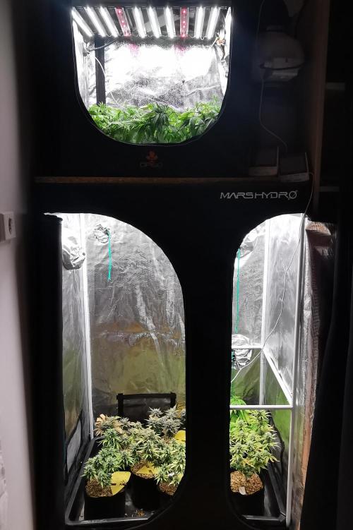 Moon Rock auto / 90x60x140 / FC-E4800. Week 9