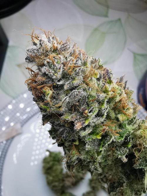 Moon Rock auto / 90x60x140 / FC-E4800. Week 12