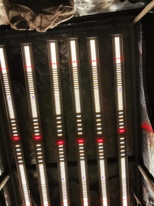 Meteor Marker 2 / FC-E4800 /90x60x140. Week 9