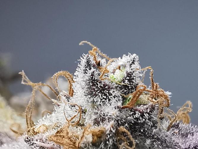 Fractal auto / FC-E4800 / 90x60x140. Week 12