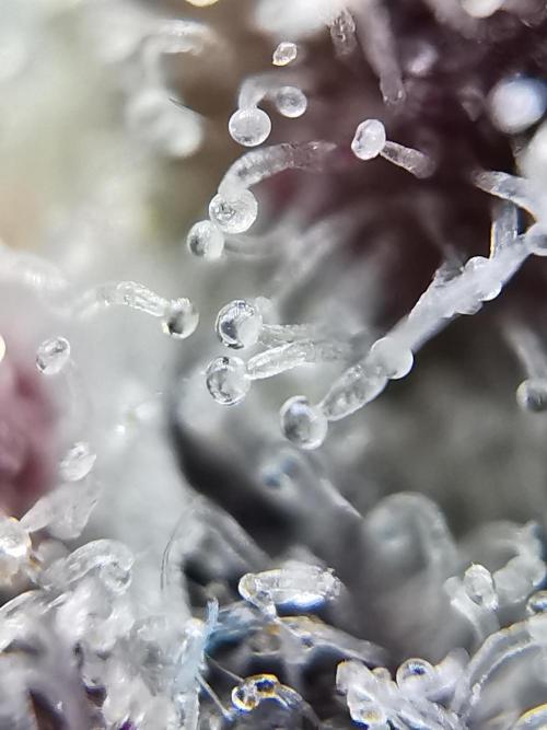Fractal auto / FC-E4800 / 90x60x140. Week 13