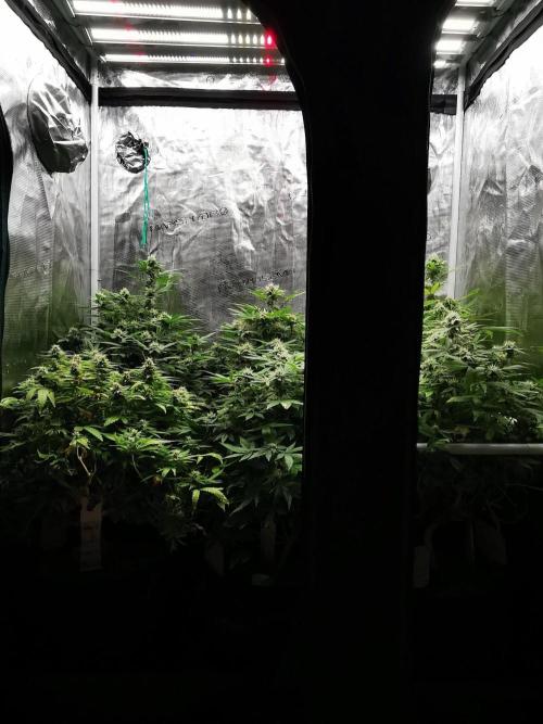 Meteor Marker 1 / FC-E4800 / 90x60x140. Week 21