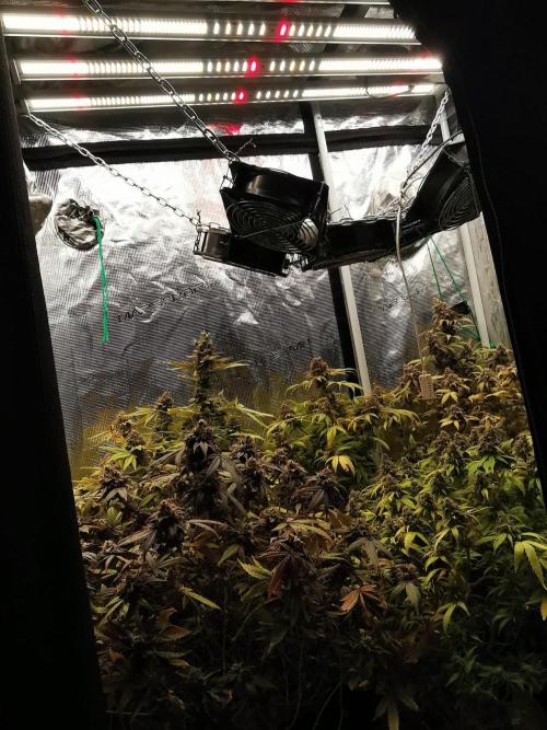 Frappe Late Z  3 / FC-E4800 /90x60x140. Week 26