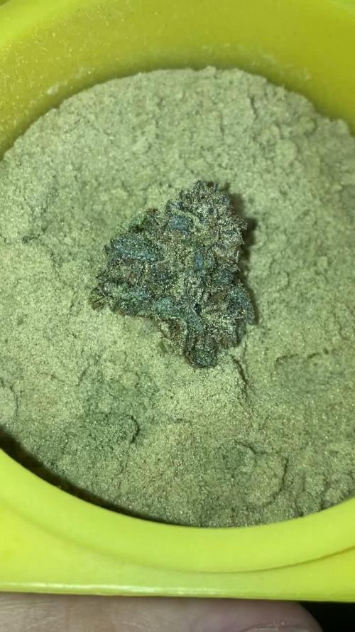 BLACKCHERRY SHERB 