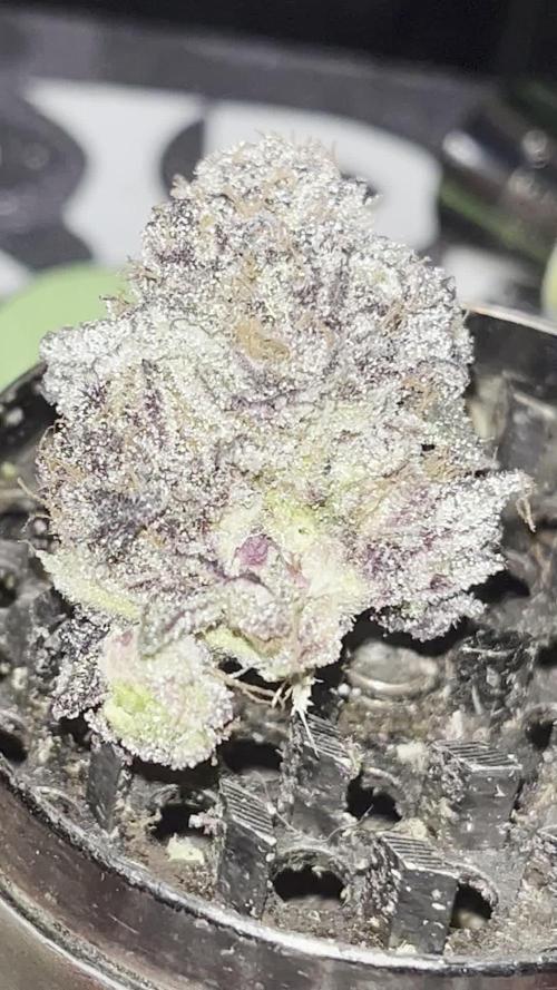STRAWBERRY TRUFFLE