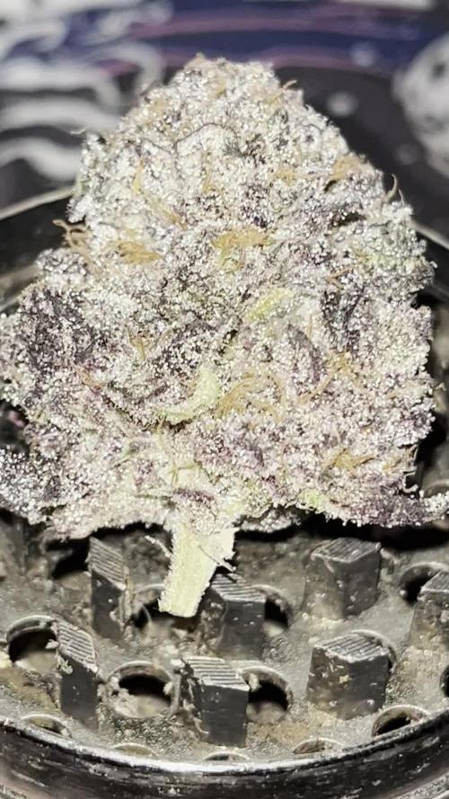 STRAWBERRY TRUFFLE