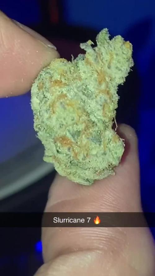 SLURRICANE #7 | BAD APPLE