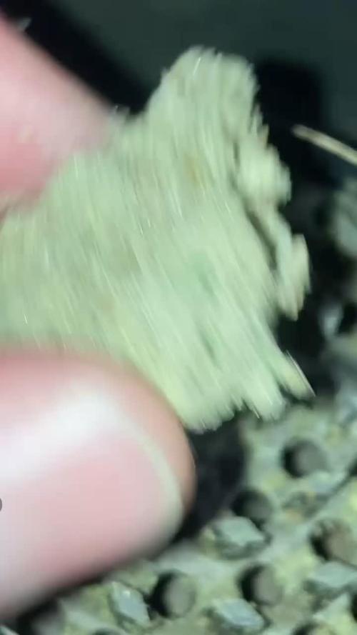 SLURRICANE #7 | BAD APPLE