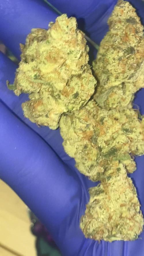 SLURRICANE #7 | BAD APPLE