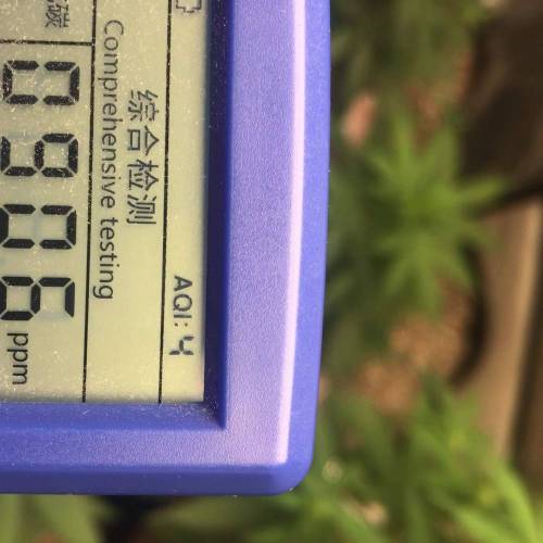 monster bruce banner auto