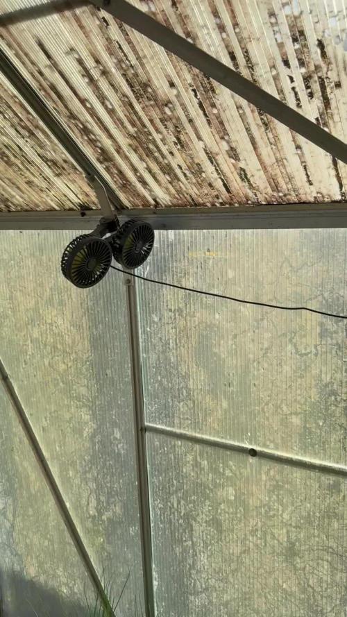 RQS *** WEDDING CAKE auto *** Greenhouse