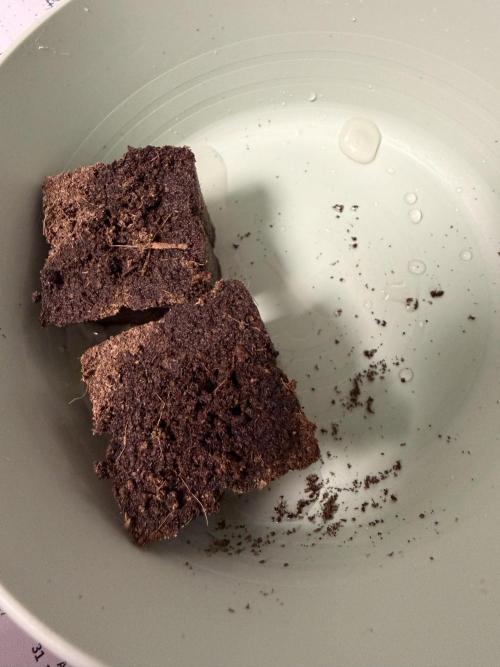 FB Purple Haze/Gorilla Skittlez Coco. Week 0