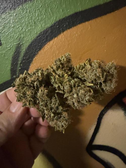 2end Outdoorgrow 25 with used Soil. Week 15