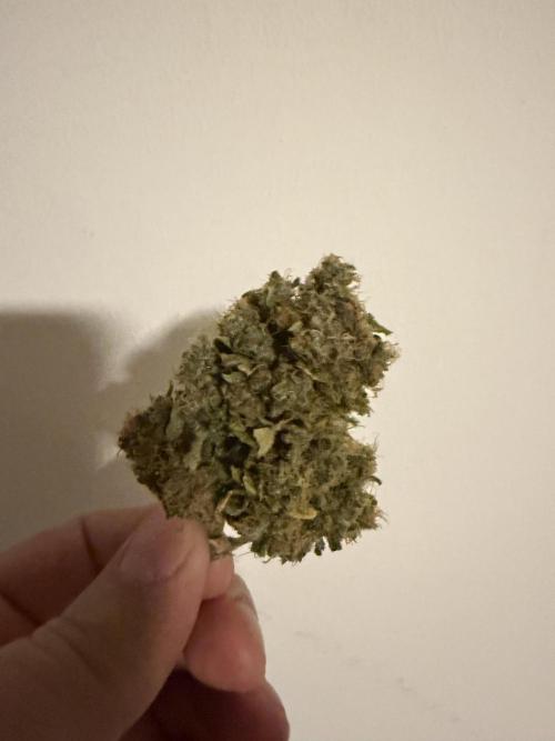 2end Outdoorgrow 25 with used Soil. Week 15