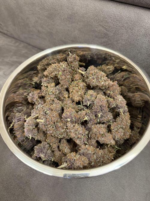 FB Purple Haze/Gorilla Skittlez Coco. Week 11