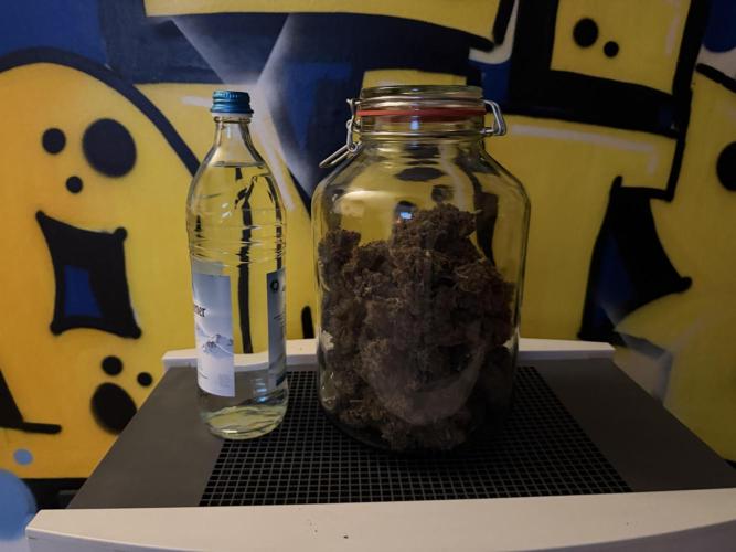 FB Purple Haze/Gorilla Skittlez Coco. Week 11