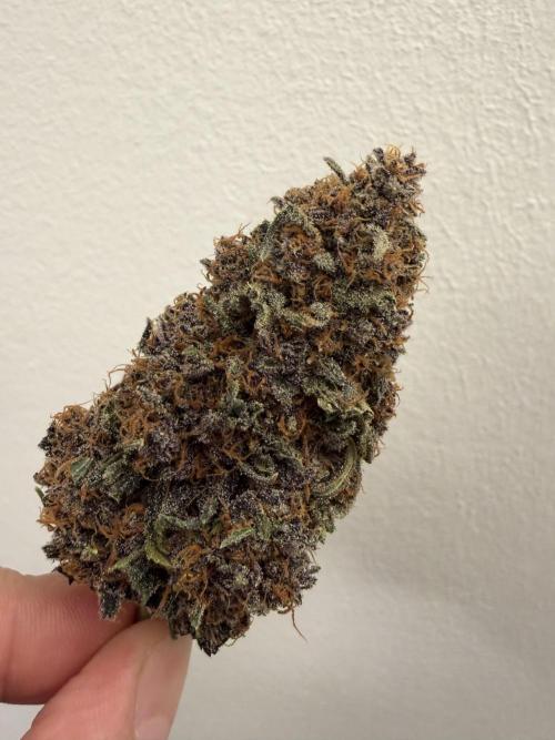 FB Purple Haze/Gorilla Skittlez Coco. Week 11