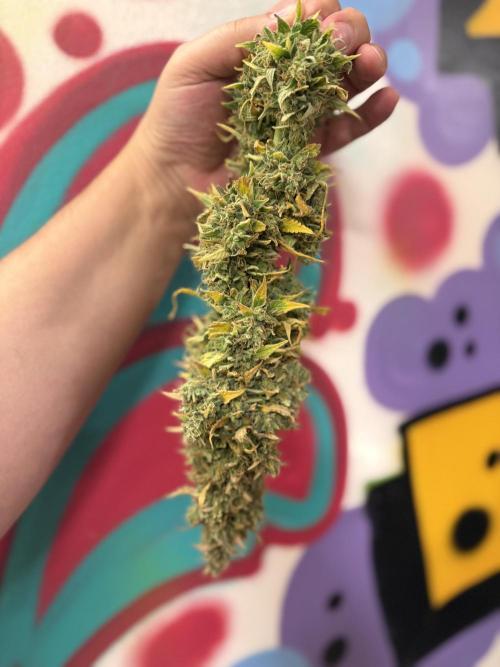 FB Purple Haze/Gorilla Skittlez Coco. Week 14