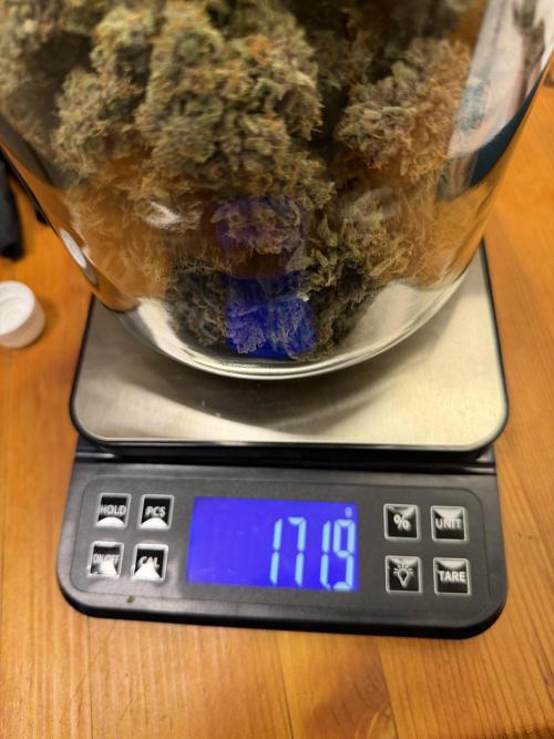 FB Purple Haze/Gorilla Skittlez Coco. Week 11