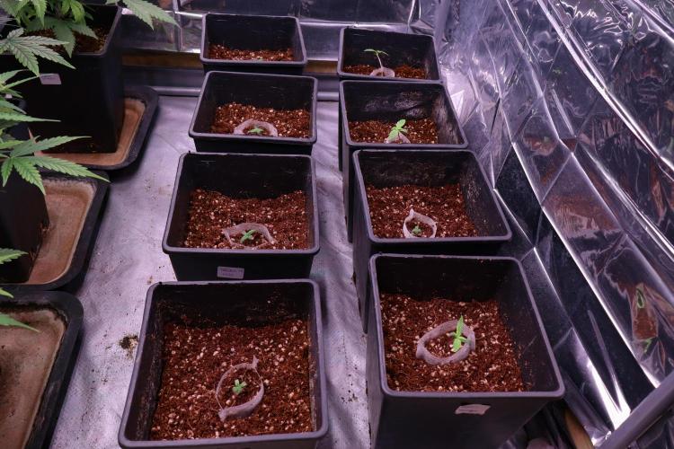 iHub-4AC. Week 1