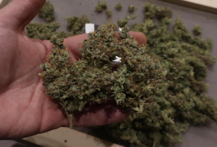 Break-up cake auto. Week 10
