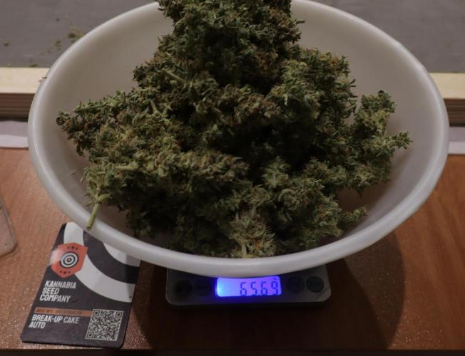 Break-up cake auto. Week 10