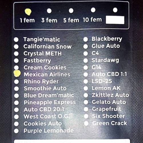 MEXICAN AIRLINES GIFT PACK. Week 1 - FastBuds Packaging MEXICAN AIRLINES Back