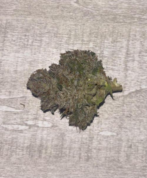 Banana Purple Punch RF3. Week 12