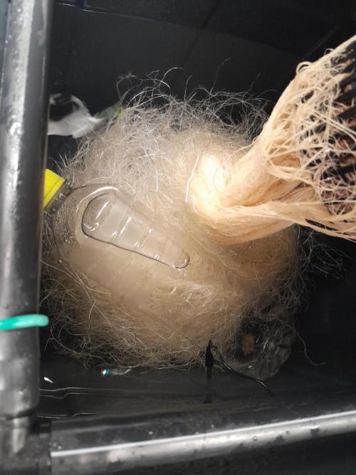 First DWC - BCN Critical XXL Fast. Week 10