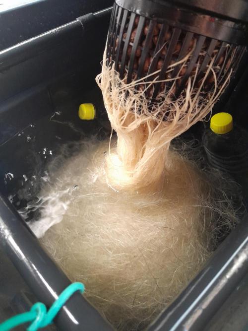 First DWC - BCN Critical XXL Fast. Week 10