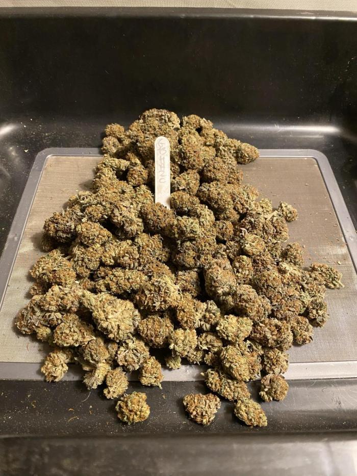 Barney´s for my own pleasure. Week 15