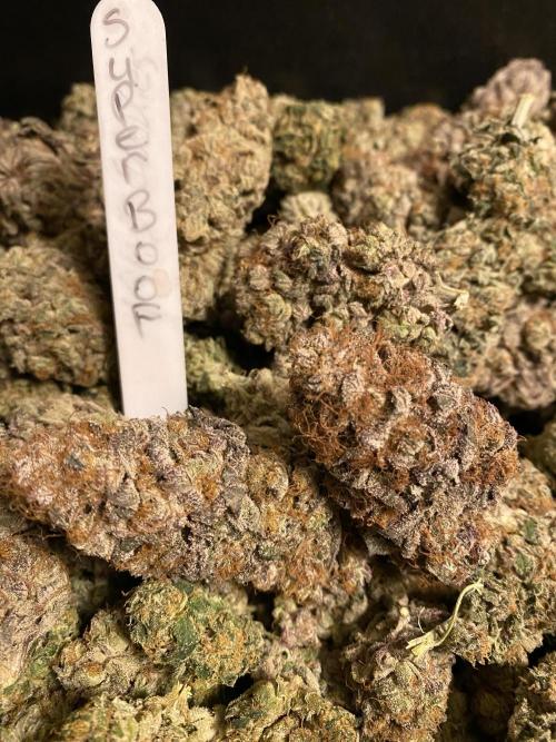 Barney´s for my own pleasure. Week 15