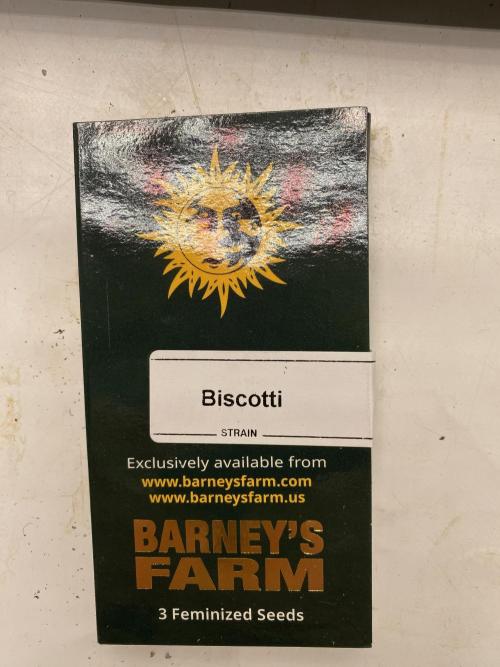 Barneys Biscotti. Week 0