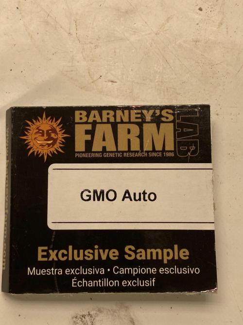 Barneys GMO Auto. Week 0